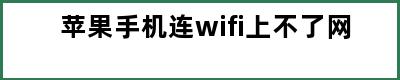 苹果手机连wifi上不了网