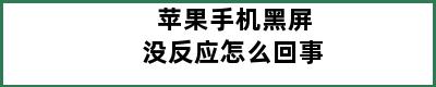 苹果手机黑屏没反应怎么回事