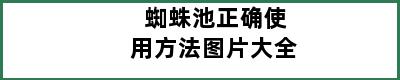 蜘蛛池正确使用方法图片大全