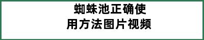 蜘蛛池正确使用方法图片视频