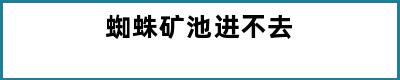 蜘蛛矿池进不去