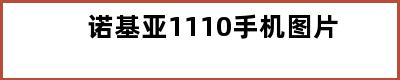 诺基亚1110手机图片