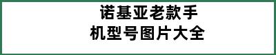 诺基亚老款手机型号图片大全