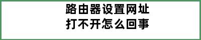 路由器设置网址打不开怎么回事