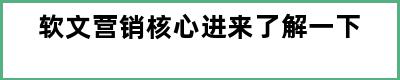 软文营销核心进来了解一下