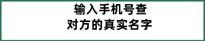 输入手机号查对方的真实名字