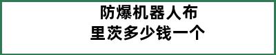 防爆机器人布里茨多少钱一个