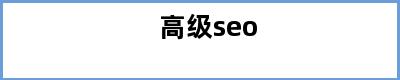 高级seo