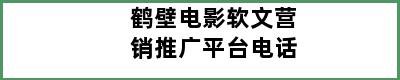 鹤壁电影软文营销推广平台电话