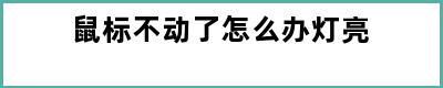 鼠标不动了怎么办灯亮