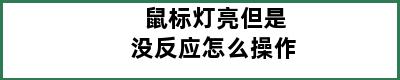 鼠标灯亮但是没反应怎么操作