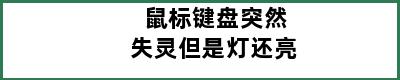 鼠标键盘突然失灵但是灯还亮